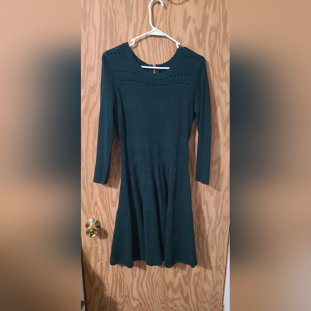 Eliza J fit and flare sweater dress